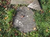 image of grave number 610241
